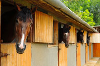 free Blackdykes stable construction quotes